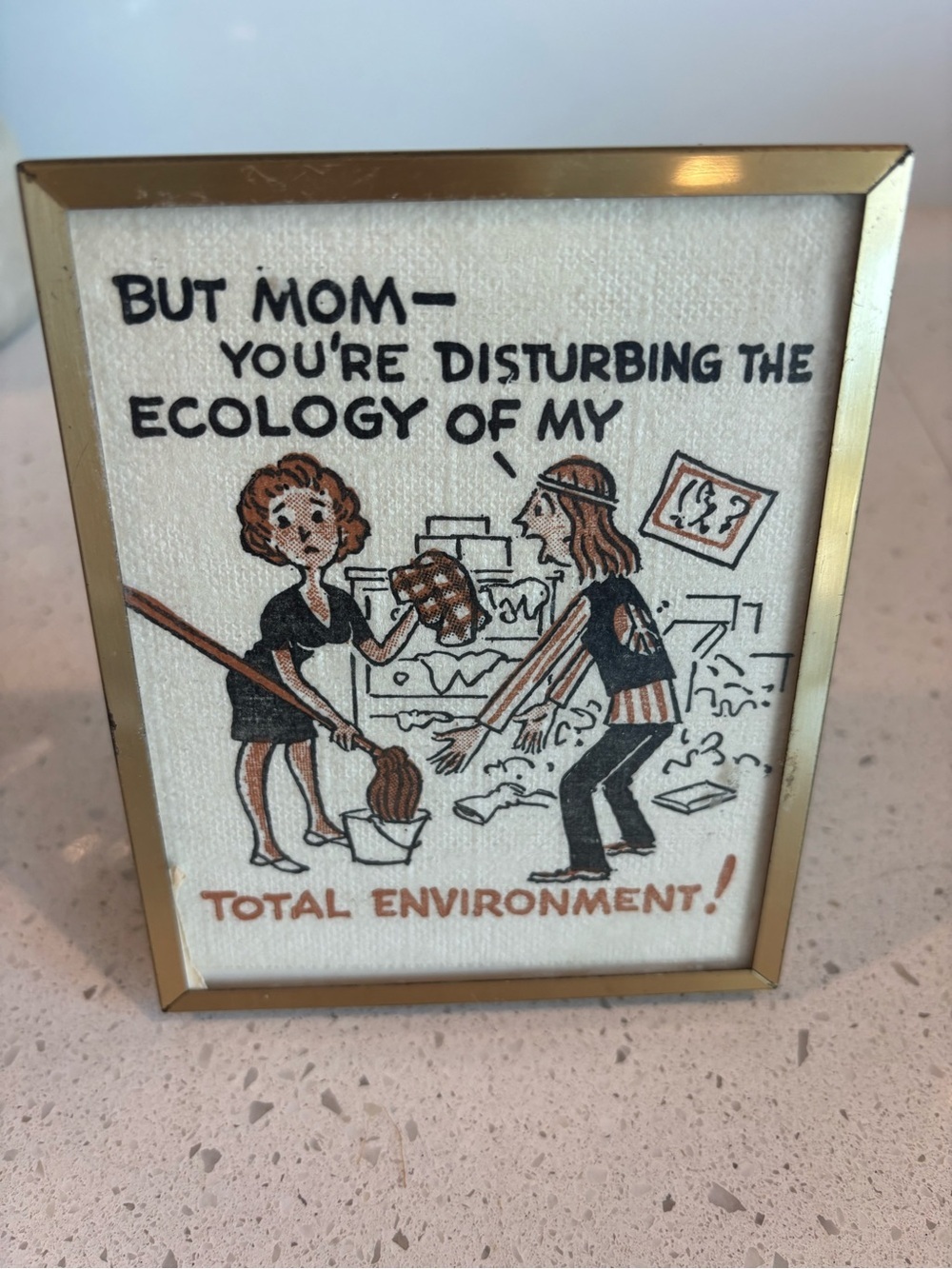 Vintage Framed Humorous Ecology Cartoon - Brown, Black, Cream